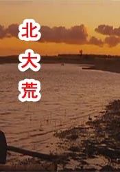 日日插插
